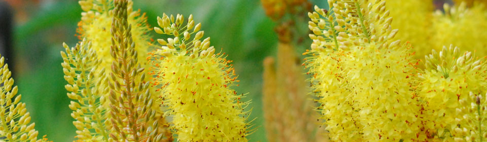 电话在线轰炸测试