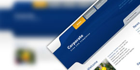 云呼试用三分钟